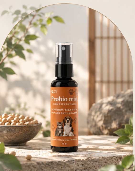 PROBIO mist 75 ml bottle on natural stone beside a bowl of soybeans