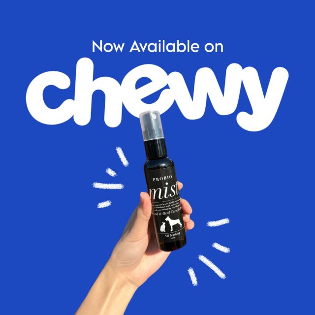 Made in Japan with Only Natural Ingredients 🌱

Our Pet Oral Care Spray is now available on Chewy! 🥳
 “Probio Mist” is made with 100% organic soybean protein and powered by Fermet 280 probiotics — delivering gentle, effective care for your pet’s oral health. It naturally supports fresh breath, helps control tartar & plaque, and promotes healthy gums — all without chemicals or added fragrances. Formulated to be safe, mild, and trusted for everyday use. 🐾💚

＝＝＝＝＝＝＝
Amana Grace
＝＝＝＝＝＝＝
🌱 𝗡𝗮𝘁𝘂𝗿𝗮𝗹 & 𝗦𝗮𝗳𝗲
　　– Made with gentle, pet-friendly ingredients
🐶 𝗧𝗿𝘂𝘀𝘁𝗲𝗱 𝗯𝘆 𝗣𝗲𝘁 𝗢𝘄𝗻𝗲𝗿𝘀 𝗶𝗻 𝗝𝗮𝗽𝗮𝗻
　　– Loved and highly-rated
🌍 𝗦𝗵𝗶𝗽𝗽𝗶𝗻𝗴 𝗪𝗼𝗿𝗹𝗱𝘄𝗶𝗱𝗲
　　– Top-quality products, delivered to you

#petcare #japanesequality #naturalpetcare #petdentalhealth #organicpetcare #losangelespets #dogdentalcare #catdental #veganpets