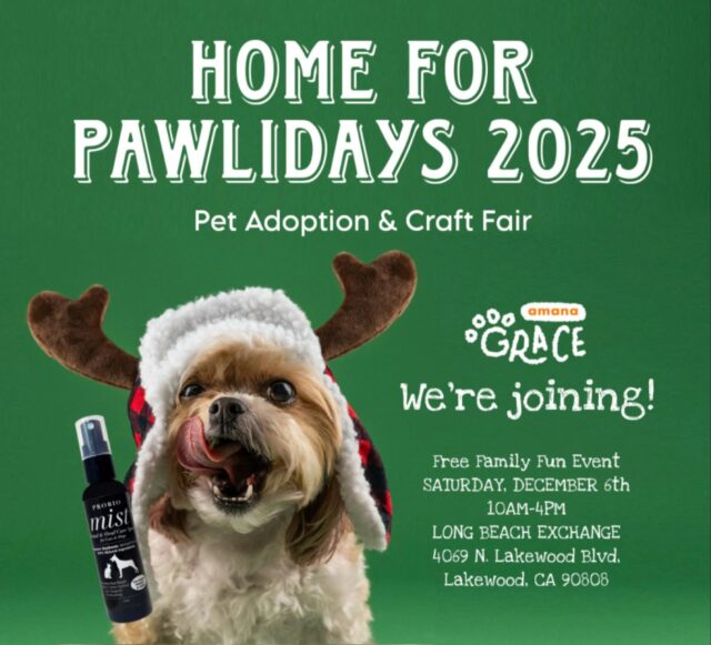 See you at @long_beach_pet_fair this Saturday! 🥳

Home for the Pawlidays 2025 🐶🐱🎄
Pet Adoption and Vendor Fair
✴︎ Date: Saturday, December 6, 2025
✴︎ Time: 10:00 AM - 4:00 PM
✴︎ Location: The Hangar at @longbeachexchange 
　4150 McGowen St, Long Beach, CA

We’re excited to invite you to participate in Home for the Pawlidays, a festive Pet Adoption and Vendor Fair happening at Long Beach Exchange this holiday season!
Join us for a family-friendly day filled with adorable adoptable pets, unique local vendors, and holiday fun! The Exchange will be decked out with beautiful Christmas decorations, including their signature large tree
— plus Santa will be there for photos!
This event draws strong foot traffic in a popular, high-visibility shopping center, making it a great opportunity to showcase your organization or business to the Long Beach community.

＝＝＝＝＝＝＝
Amana Grace
＝＝＝＝＝＝＝
🌱 𝗡𝗮𝘁𝘂𝗿𝗮𝗹 & 𝗦𝗮𝗳𝗲
　　– Made with gentle, pet-friendly ingredients
🐶 𝗧𝗿𝘂𝘀𝘁𝗲𝗱 𝗯𝘆 𝗣𝗲𝘁 𝗢𝘄𝗻𝗲𝗿𝘀 𝗶𝗻 𝗝𝗮𝗽𝗮𝗻
　　– Loved and highly-rated
🌍 𝗦𝗵𝗶𝗽𝗽𝗶𝗻𝗴 𝗪𝗼𝗿𝗹𝗱𝘄𝗶𝗱𝗲
　　– Top-quality products, delivered to you

#petcare #japanesequality #naturalpetcare #losangelespets #longbeachpetcare #longbeachevents